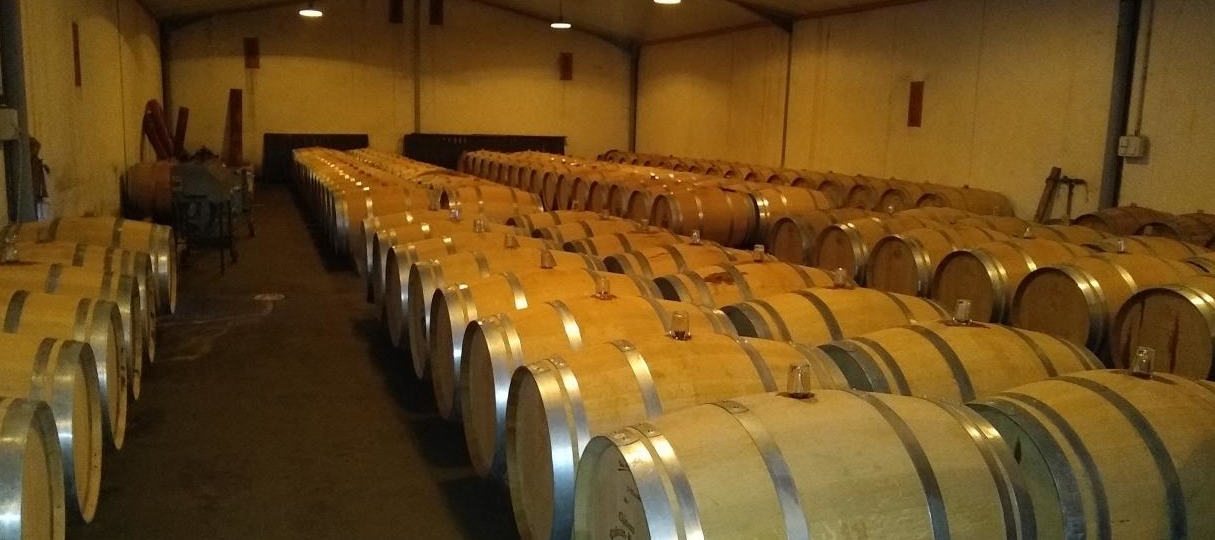 Photo of oak barrels